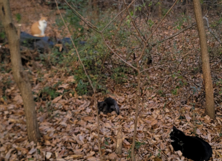 89067b8abdb2124e1b1ed404de46d771_1764056892_5169.png 89067b8abdb2124e1b1ed404de46d771_1764056892_5169.png