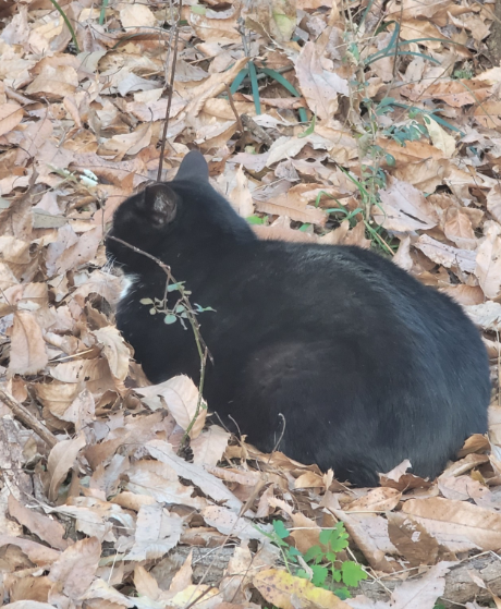 89067b8abdb2124e1b1ed404de46d771_1764056892_6506.png 89067b8abdb2124e1b1ed404de46d771_1764056892_6506.png