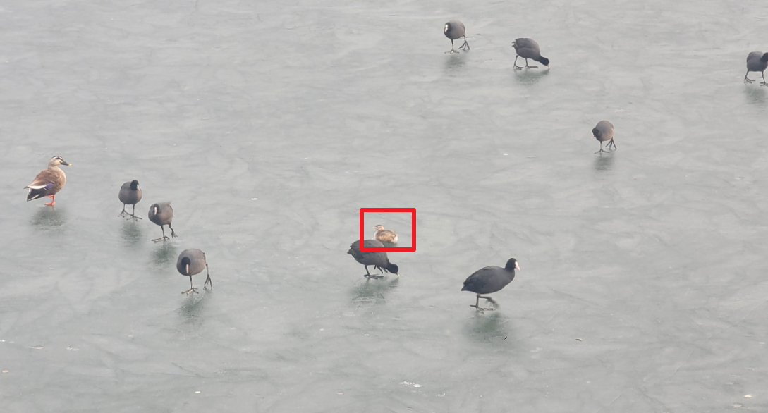 dde6d7be721800293c1ef8038eba4968_1763699167_6943.png dde6d7be721800293c1ef8038eba4968_1763699167_6943.png