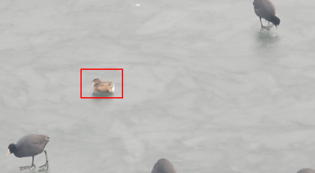 dde6d7be721800293c1ef8038eba4968_1763699167_7603.png dde6d7be721800293c1ef8038eba4968_1763699167_7603.png