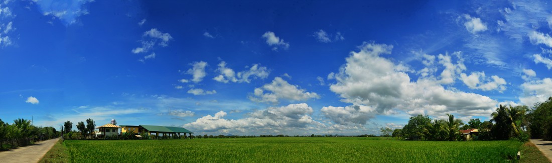 ec1a6a39c6e339d707b15e896ea67e99_1775780120_9595.jpg